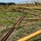 #52659-•-16'x50'-land-plane-18011650-inv#52659-image-20