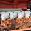 zetor-6340-image-37