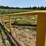 #52659-•-16'x50'-land-plane-18011650-inv#52659-image-62