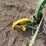 john-deere-pull-type-two-bottom-plow-image-14