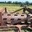 #52670-•-20'-stubble-roller-inv#52670-image-39