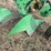 john-deere-pull-type-no.-44-two-bottom-plow-image-15