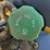 2024-deere-325g-image-16