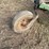 john-deere-no.5-image-13