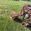 #52693-•-sprayrite-10-row-30"-cultivator-inv#52693-image-9