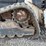 bobcat-t62-image-19