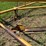proctor-18x52-image-35