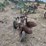john-deere-three-point-two-bottom-plow-image-4
