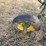 john-deere-pull-type-two-bottom-plow-image-36