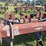 #52693-•-sprayrite-10-row-30"-cultivator-inv#52693-image-33