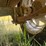 miller-trailblazer-image-8