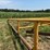#52659-•-16'x50'-land-plane-18011650-inv#52659-image-63