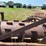 #52670-•-20'-stubble-roller-inv#52670-image-19