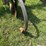 john-deere-886-image-23