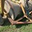 #52690-•-levee-packer-inv#52690-image-22