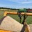 #52690-•-levee-packer-inv#52690-image-13