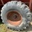 eddins-500t-image-7