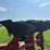 case-ih-165-image-16