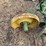 john-deere-no.-44-pull-type-two-bottom-plow-image-14