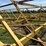 ward-18x70-image-85