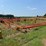 #52661-•-fair-oaks-float-inv#52661-image-4