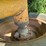 #52690-•-levee-packer-inv#52690-image-7