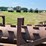 #52670-•-20'-stubble-roller-inv#52670-image-20