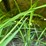 woods-hs106-3-image-30