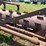 #52670-•-20'-stubble-roller-inv#52670-image-18