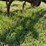 john-deere-100-image-31