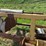 #52684-•-poly-pipe-layer-413-inv#52684-image-23