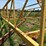 ward-18x70-image-95