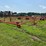 #52661-•-fair-oaks-float-inv#52661-image-3