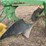 john-deere-pull-type-two-bottom-plow-image-14