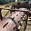 #52670-•-20'-stubble-roller-inv#52670-image-46