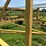 ward-18x70-image-104