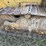 1985-caterpillar-d4e-image-12