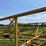 ward-18x70-image-101