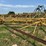 #52659-•-16'x50'-land-plane-18011650-inv#52659-image-38