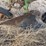john-deere-no.-55-a-b-h-pull-type-three-bottom-plow-image-25
