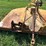 woods-bb840-image-13