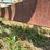 ward-18x70-image-53