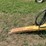 ward-18x70-image-69