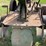 john-deere-a-image-33