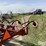 h-&-s-bf16-image-15