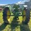 john-deere-model-b-image-3