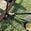 john-deere-670-image-11