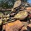 1981-wichtex-dd-75’-x-280k-lbs-300-hp-5,000’-trailer-mtd-drilling-rig-image-18