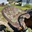 john-deere-gm-image-21