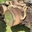 john-deere-a-image-23